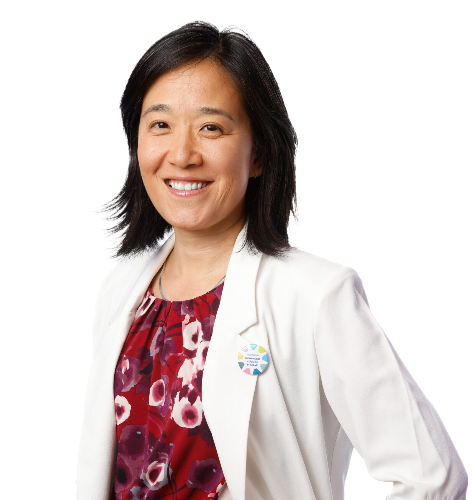 Iniciativas Frente Etnias